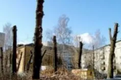 Прочие виды наших услуг