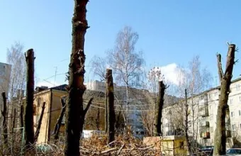 Опиловка деревьев